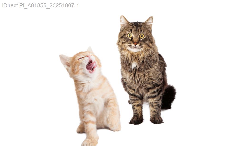 「寵物主必看！台灣寵物照護產品使用心得分享，這5個驚人發現你絕不能錯過！」圖片